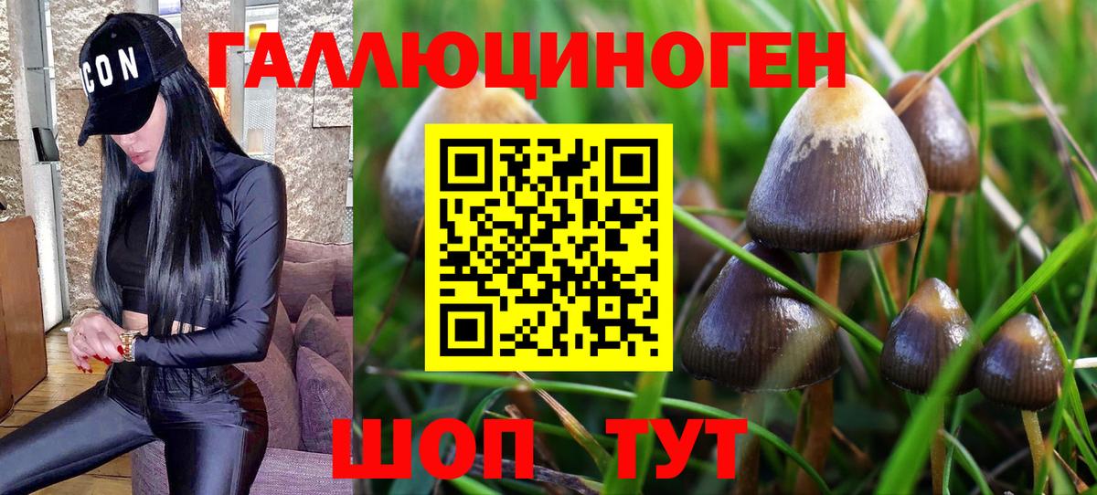 Галлюциногенные грибы GOLDEN TEACHER  Галлюциногенные грибы Cubensis  Каспийск  Вход с VPN 